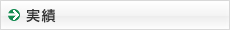 実績